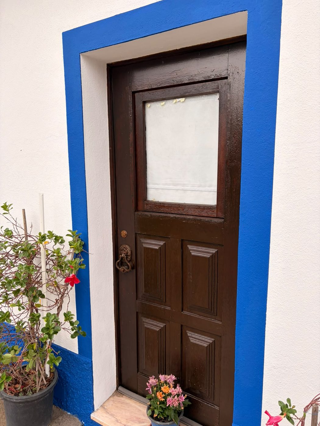 Porta de entrada depois de envernizada